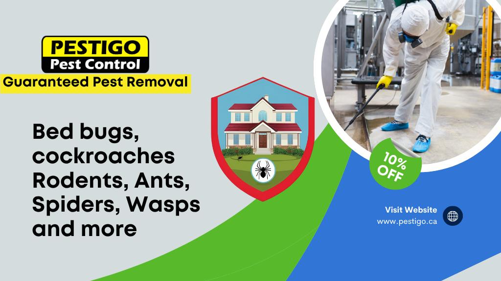 Cover photo of Pestigo Pest Control Brampton